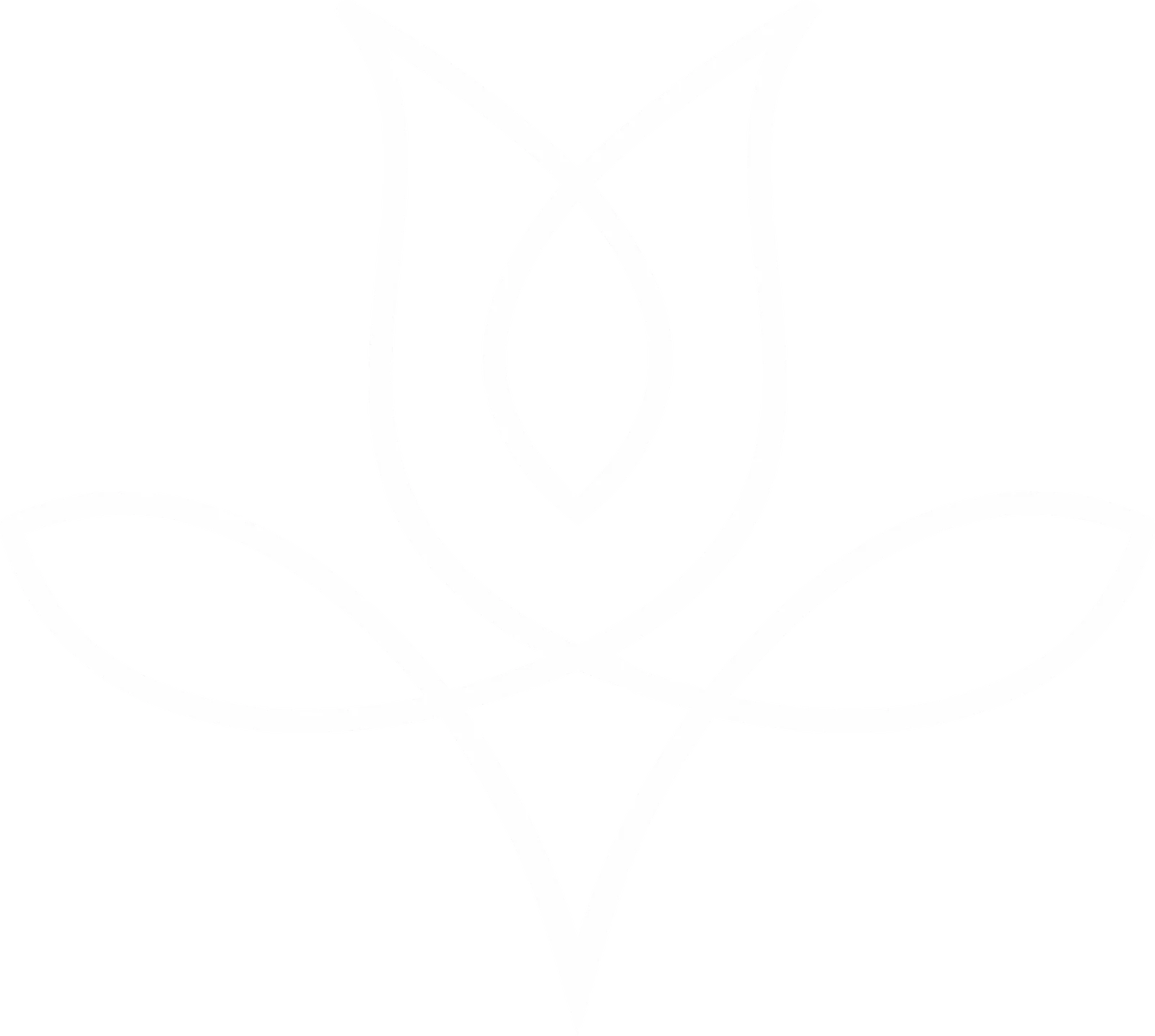 Dra. Tamires Vicenzi